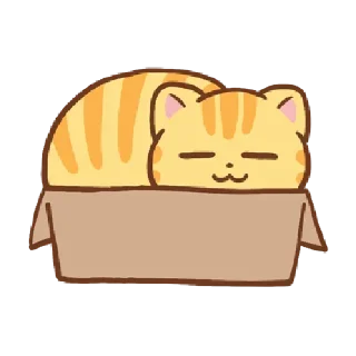 🐱