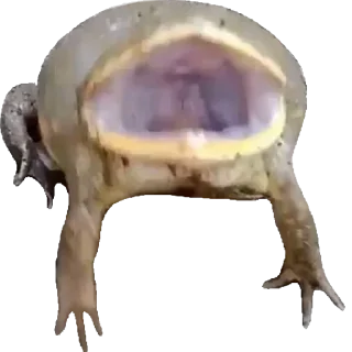 😱