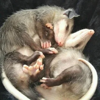 ❤️