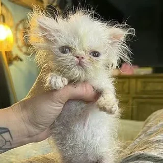 ❤️