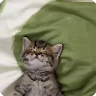 ☺️