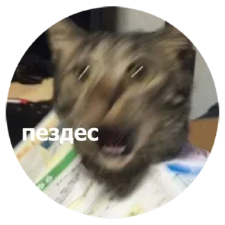 😱