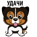 🐶