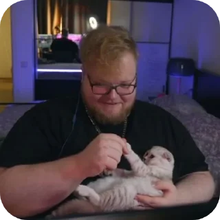 🐱