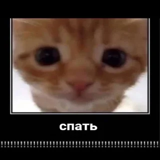 😞