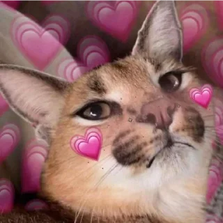 🥰