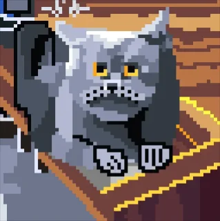 🐱