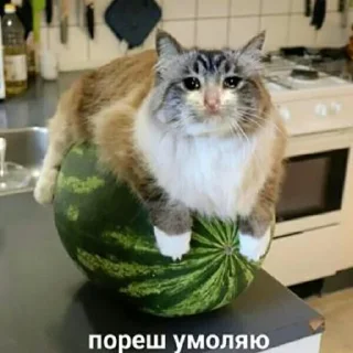 😥