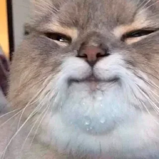 ☺️