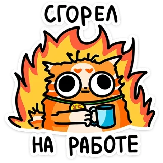 ⭐