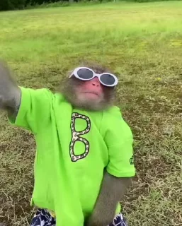 😎