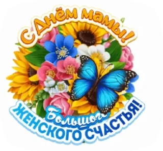 🌺
