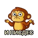 🤪