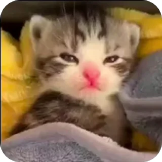 😴
