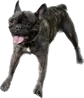 😝