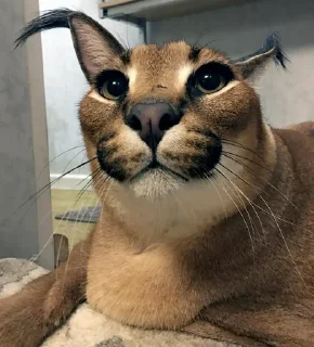 😐