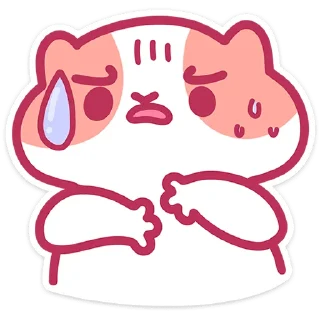 🐱