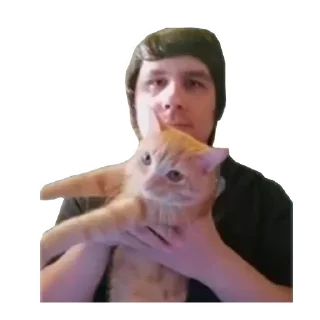 🐱