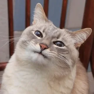 🫠