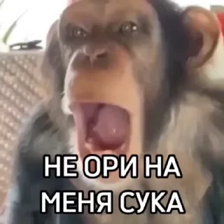 😭