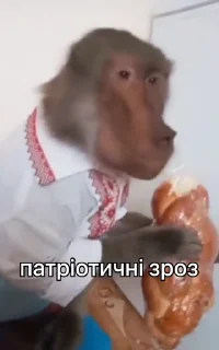 🇺🇦