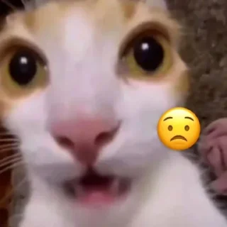 😟