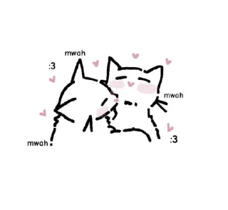 😽