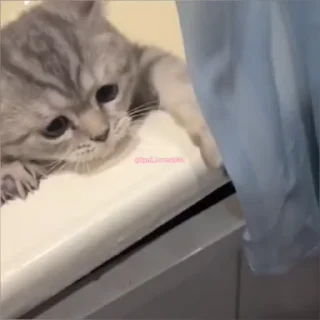 🥺