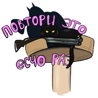 🐈‍⬛