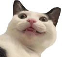 😝
