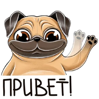 👋