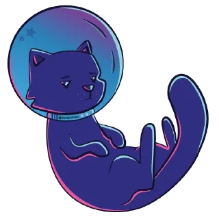 🐱