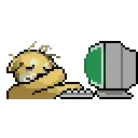 💻