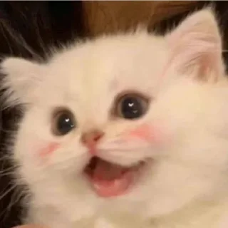 ☺️