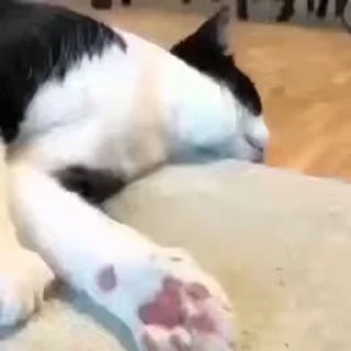 🤯