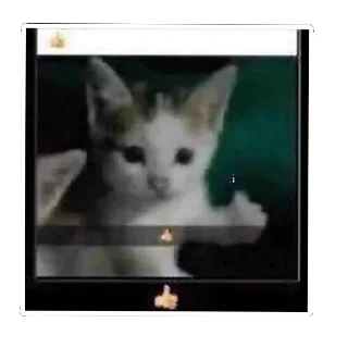 🕸