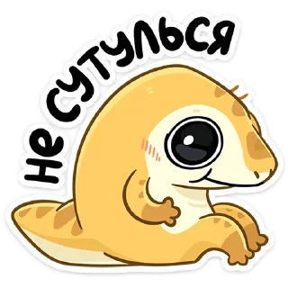 🦐
