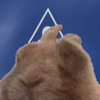 🌚