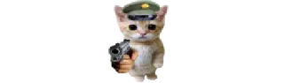 🐈