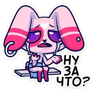 🐰