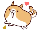 🐶