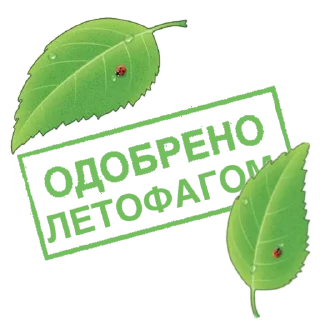 🍃