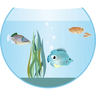 🐠