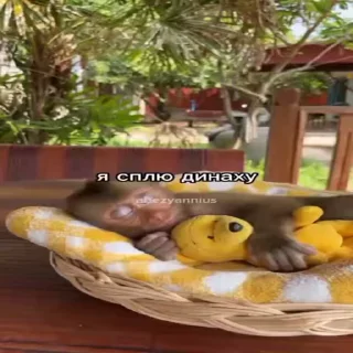 😴