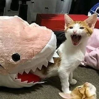 😫