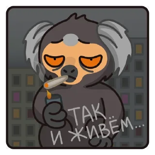 🚬