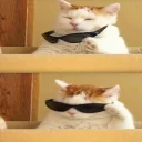 😎