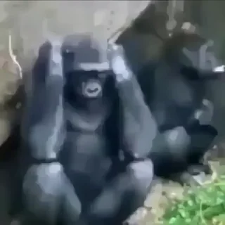 🤯