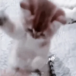 🍙