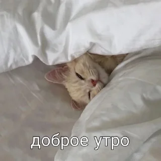 ☺️